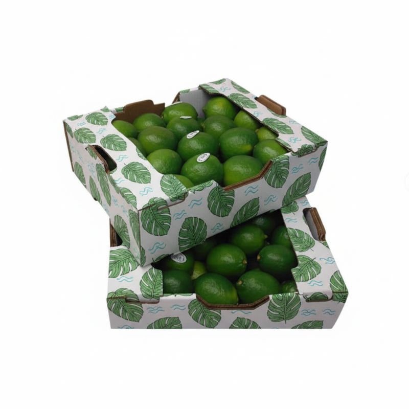 Caja rígida para frutas RB-218